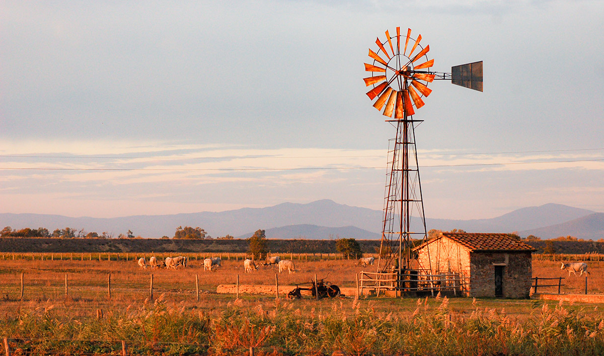 Parco della Maremma agriturismo  Parco Uccellina